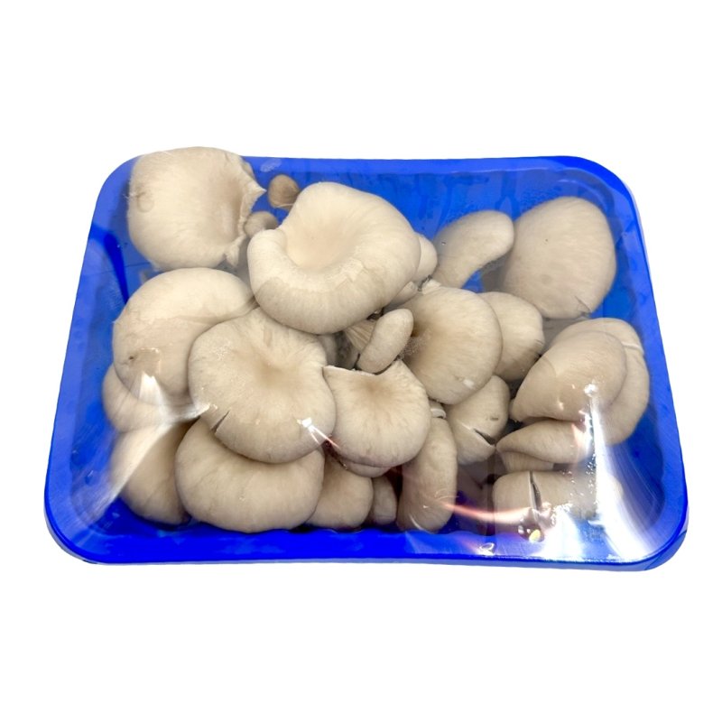 Hliva ustricová balená 300g