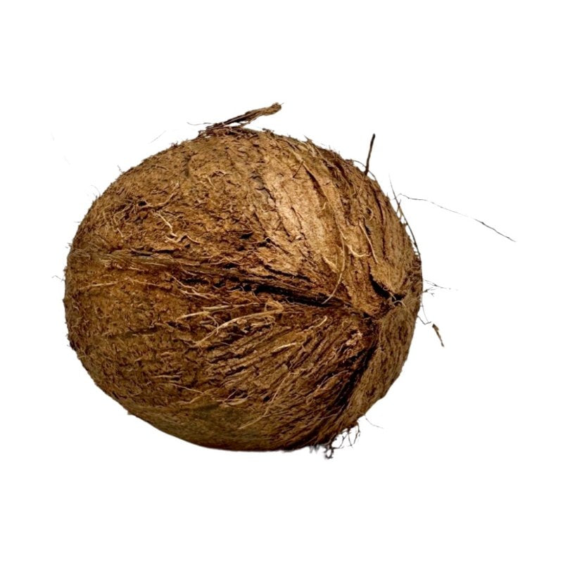 Kokosový orech /ks