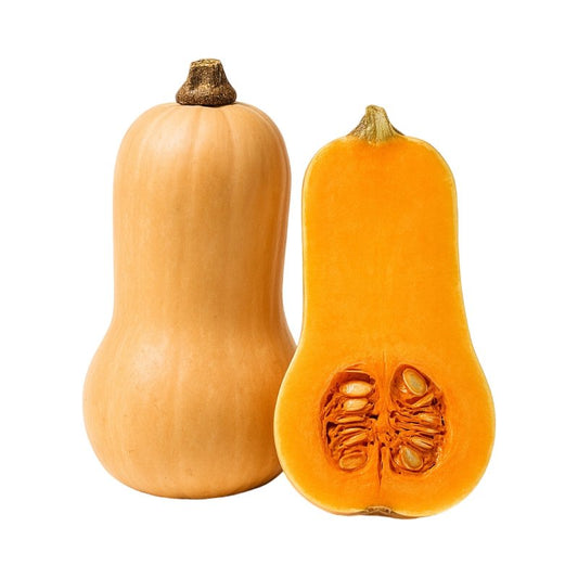 Tekvica maslová Butternut /Kg